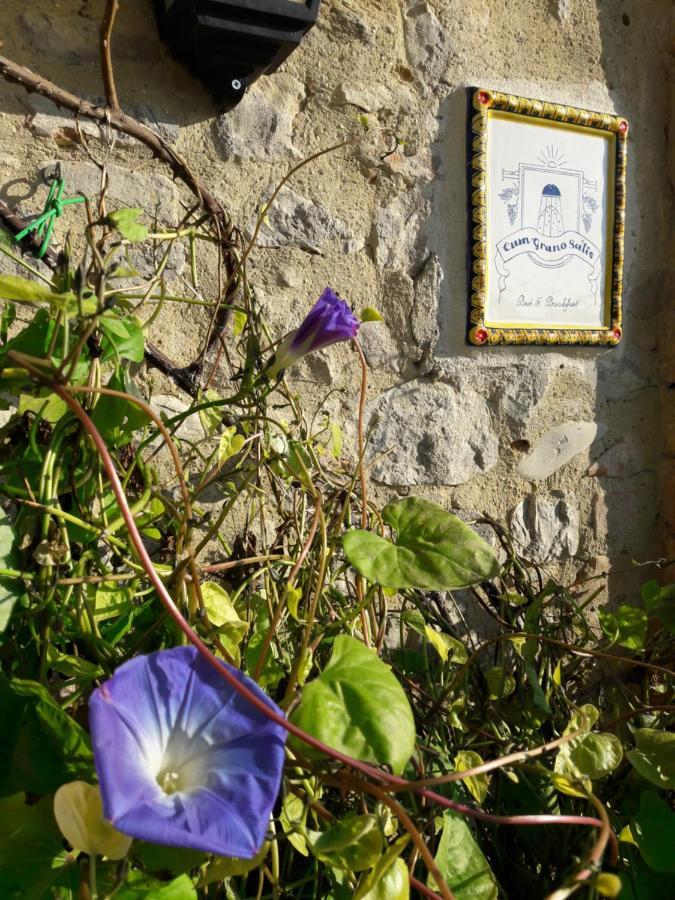 B&B Cum Grano Salis Castello delle Forme Экстерьер фото